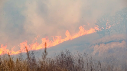 Пожар на 8000 гектаров в Приморье: 83 человека борются с огнём