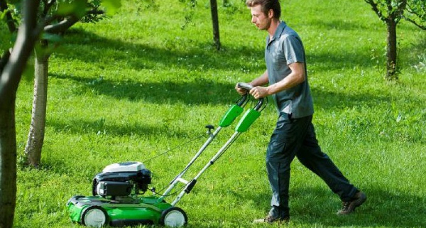 7 преимуществ регулярного использования газонокосилки