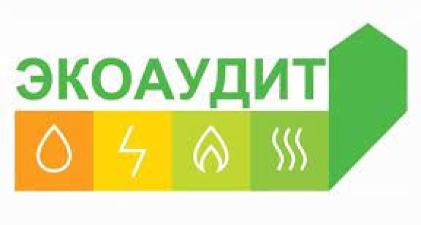 Экологический Аудит: Путеводитель в Устойчивое Будущее