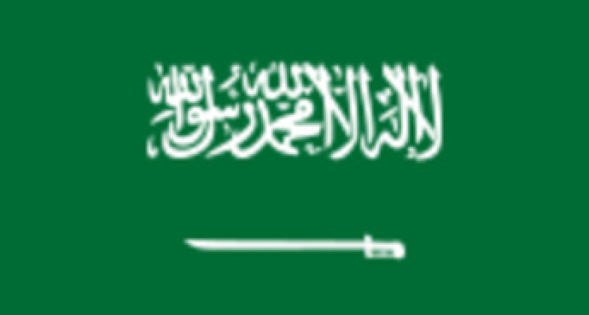 Преимущества визы в Саудовскую Аравию