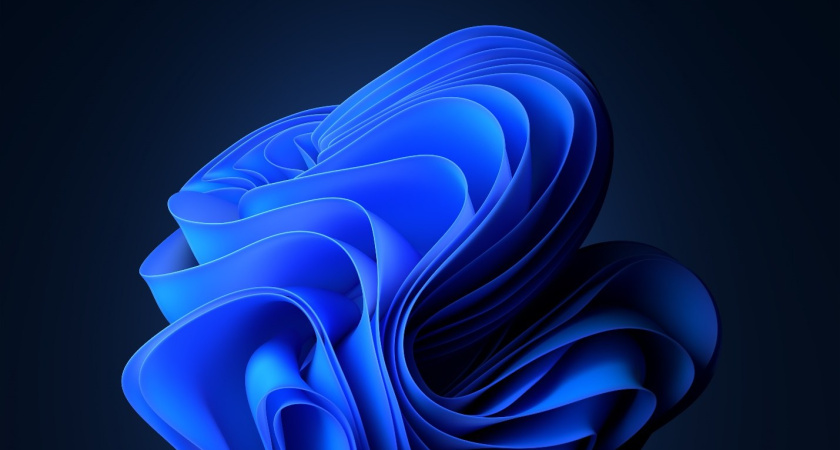 Лицензия на компьютерные программы: Все, что вам нужно знать