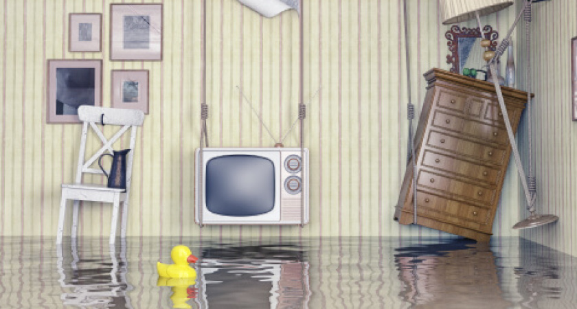 Просушка помещений после затопления: Ваш надёжный шаг к быстрому восстановлению