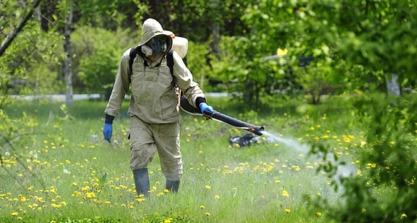 Преимущества Покупки Услуг Дезинфекции от Змей