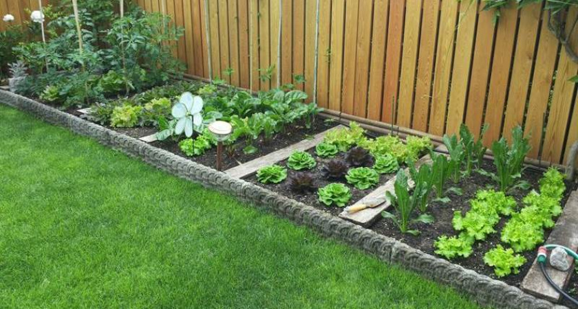 Огород возле дома: преимущества, планирование и уход