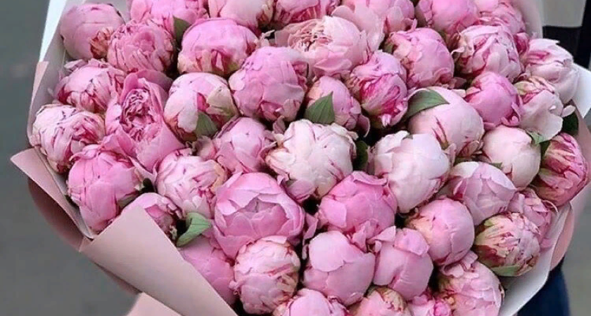 Букеты пионов: символика и искусство составления