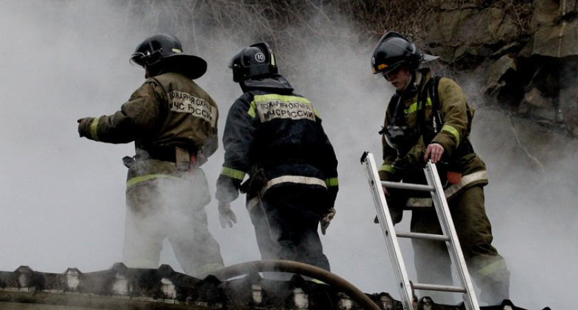 Пожар уничтожил дом семьи с 9 детьми в Приморье — пожарные извещатели спасли 11 жизней