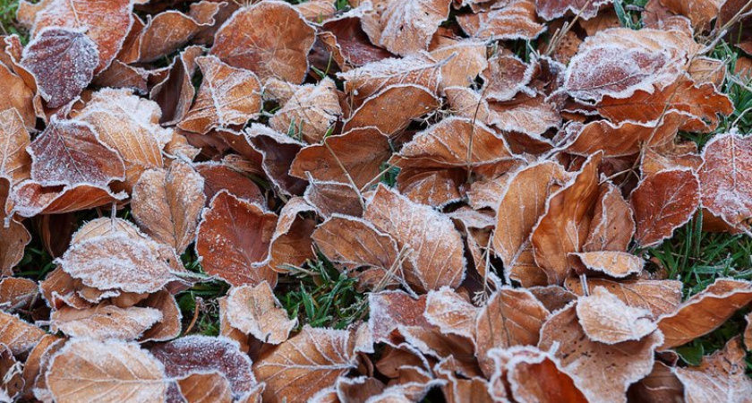 В Приморье ударят заморозки до −9°: синоптики предупредили о резких перепадах температуры