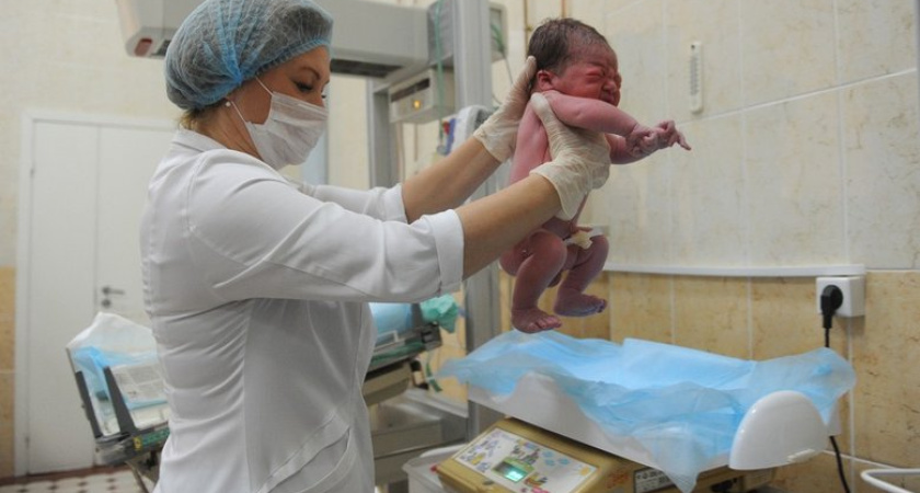 321 малыш за неделю в Приморье: 52 семьи стали многодетными, родился богатырь весом почти 5 кг