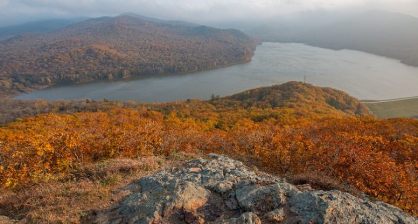 Южный ветер до сильного и +18°С: что ждет Приморье 7 октября
