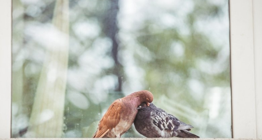 Антициклон захватил Приморье: температура до +17°С и сильный ветер без осадков