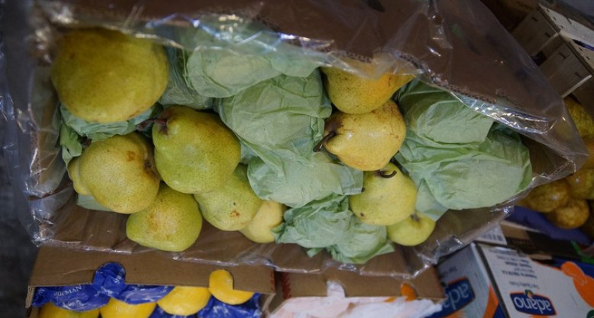 Третий за год: в Приморье уничтожат 990 кг китайских груш с опасными гусеницами