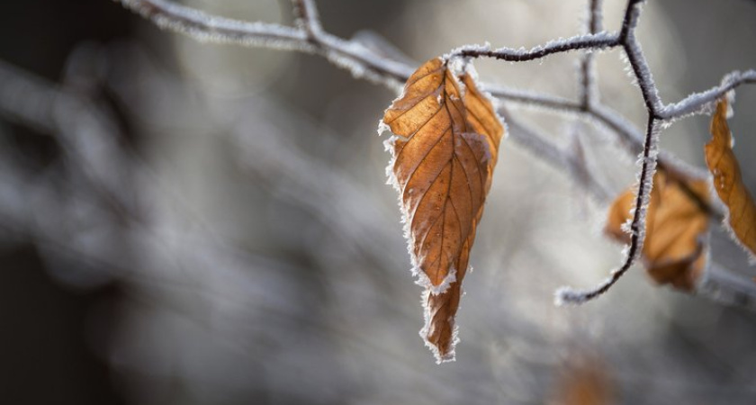 Заморозки до −10°C ударят по Приморью: когда придет обещанное потепление