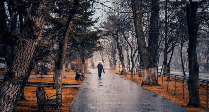 Приморье ждут заморозки до +3°C и штормовой ветер с дождями