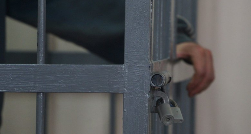 В Приморье осудили китайскую ОПГ за контрабанду частей тигров и медведей на 50 миллионов