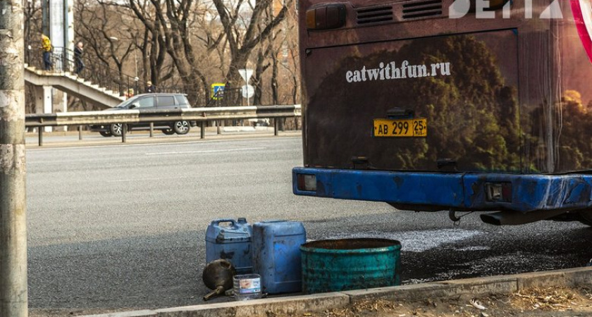 Водитель автобуса в Артёме не выпустил 10-летнюю девочку и увёз на конечную из-за сбоя терминала