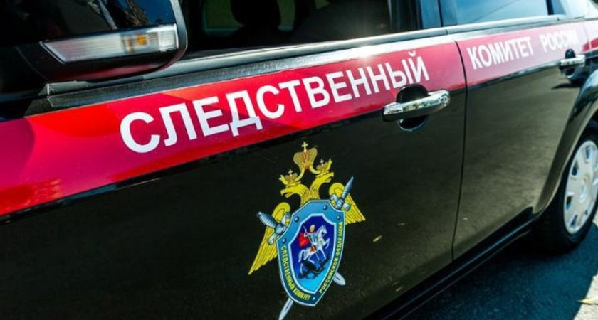 Мать забрала 7-летнюю дочь из реабилитационного центра в Артеме: возбуждено уголовное дело
