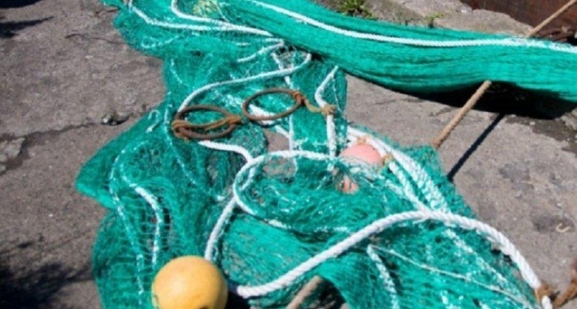 36 лососей и «якорь-кошка»: в Приморье поймали браконьеров, один оказался рецидивистом