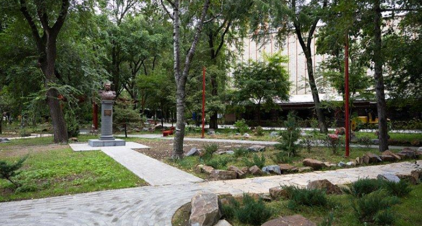 20 лет на пользу: почему во Владивостоке нельзя спилить ни одно старое дерево