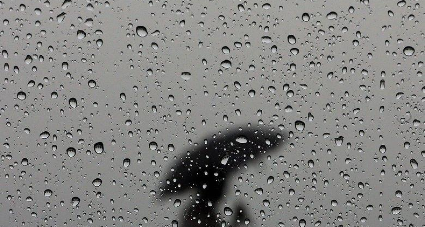 От −16 до плюса за сутки: китайский циклон обрушит на Приморье снег, дождь и гололед 8-9 ноября