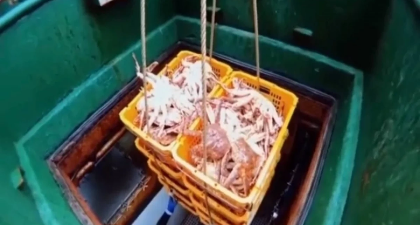 Восемь компаний «крабового короля» Кана отобраны государством за неделю