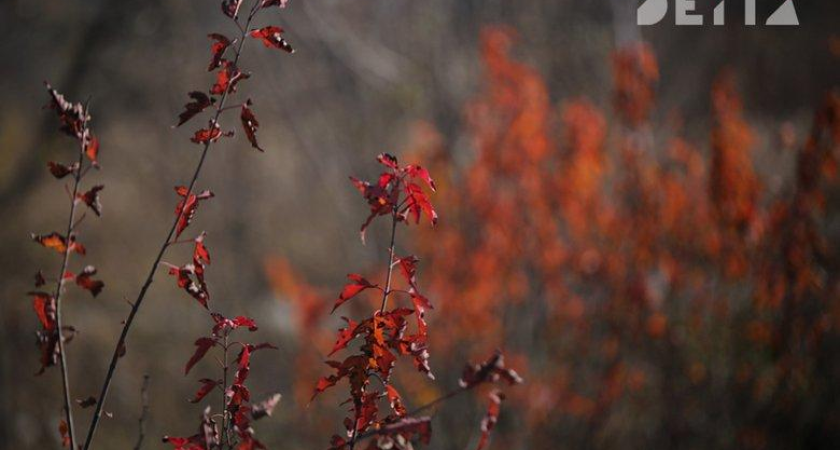 Гололёд и мокрый снег накроют Приморье: температура упадёт до -6°C