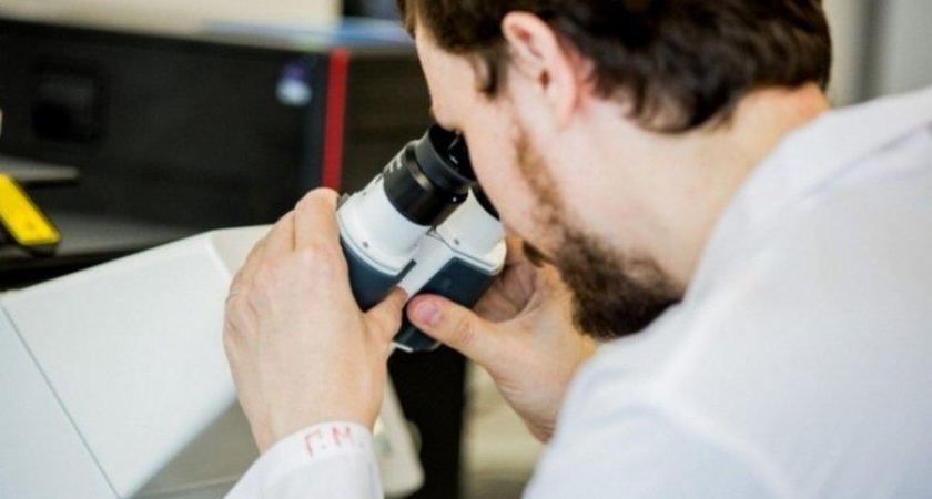 Сальмонелла во второй раз за месяц: приморский производитель снова выпустил опасные куриные отбивные