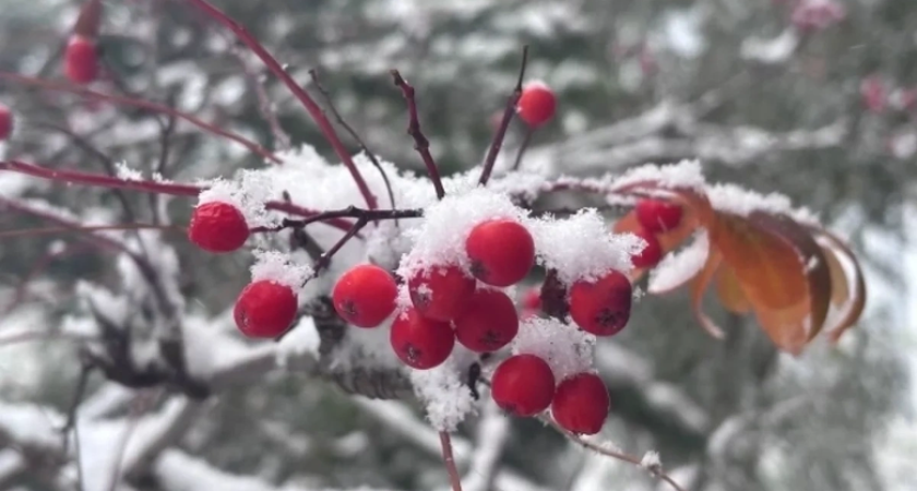 Штормовой снег и ветер накроют Приморье на выходных