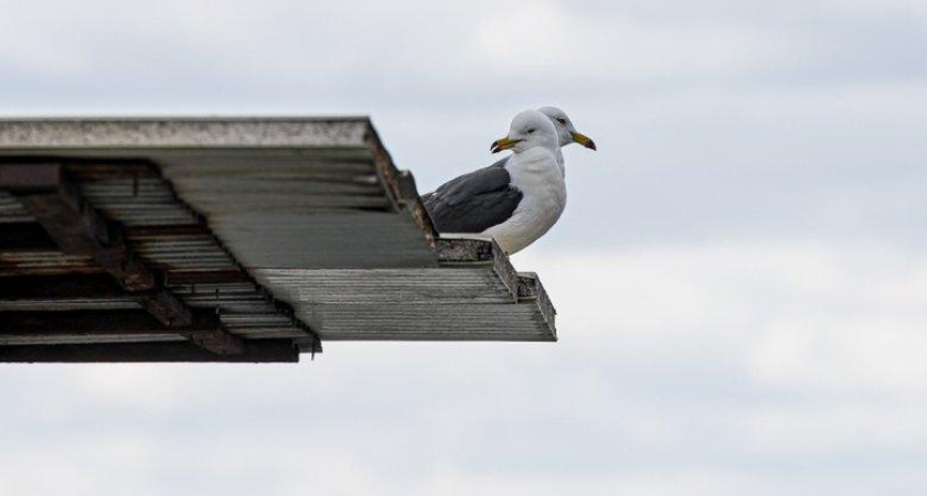 Холодный удар: температура в Приморье рухнет до −14°C после ухода дождей
