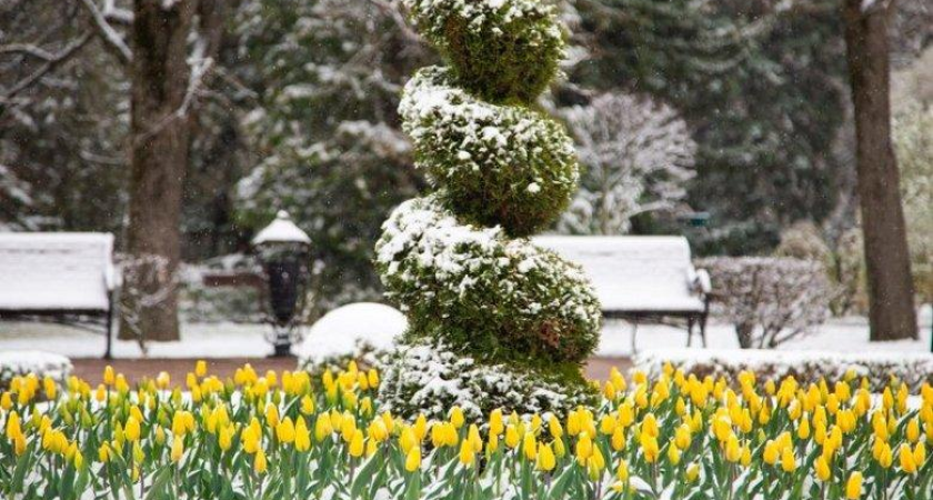 Гидрометцентр: зима будет холоднее прошлогодней на фоне резких температурных скачков