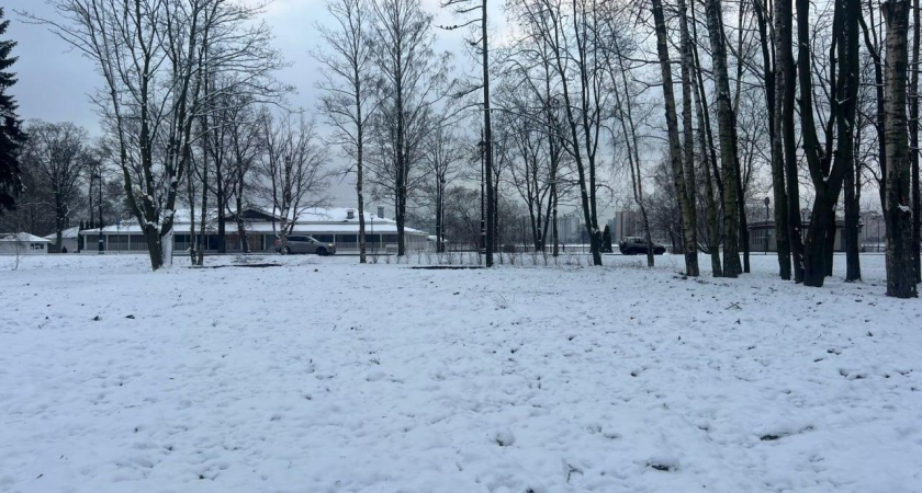 Вместо элитного «Спорт Паласа» с пятью бассейнами — газоны: самострой на 10 тысяч м² превратят в парк