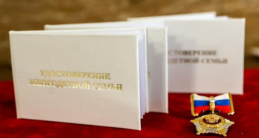 1613 многодетных семей Приморья получили персональные консультации по выплатам