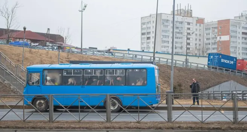 Эгершельд без автобусов: маршрут №81 запустят только 12 декабря после разрыва контракта с «Каслар»