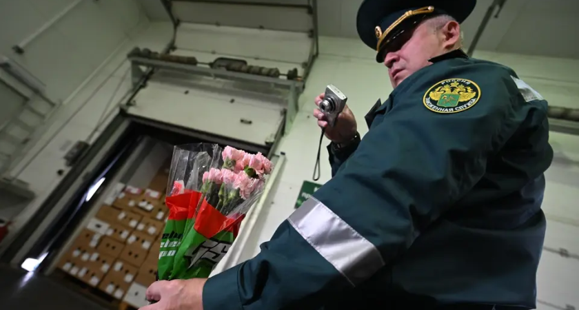 Западный цветочный трипс: почти 100 тысяч цветов из Китая проверили на границе Приморья