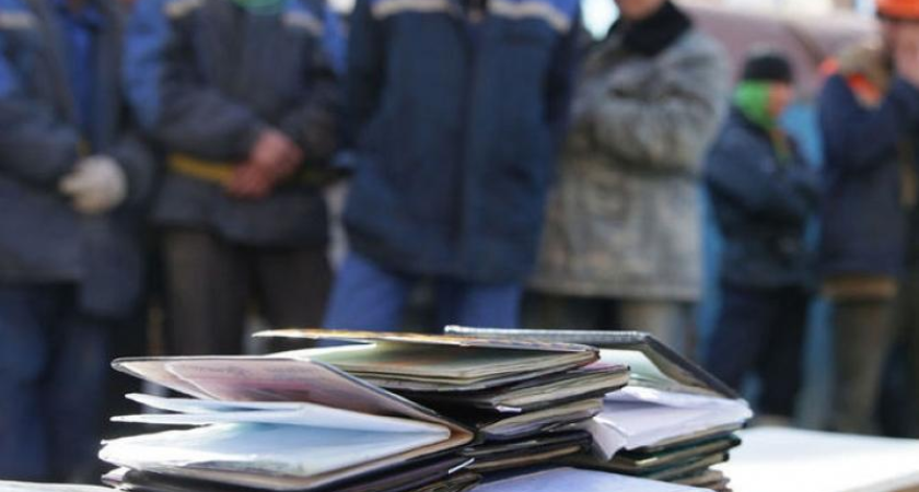 Шестеро приморцев организовали схему с фиктивными экзаменами для нелегальных мигрантов