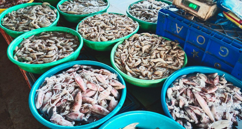 Зарплаты в рыбпроме Приморья взлетели до 226 тысяч: вакансий стало вдвое больше