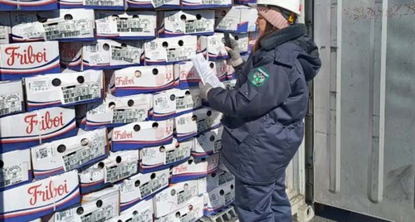 5,7 тысячи тонн вместо 709: Приморье завалило Вьетнам свиными ножками и желудками