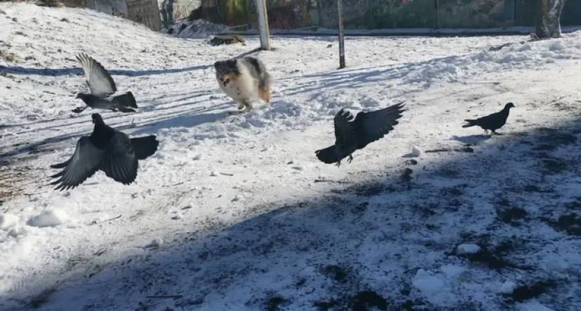 Морозы до -30°C и снегопад: атмосферный фронт накроет Приморье 2 декабря