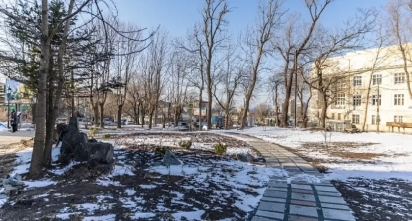 Главный вход Покровского парка преобразился: снесли старые постройки и высадили сосны