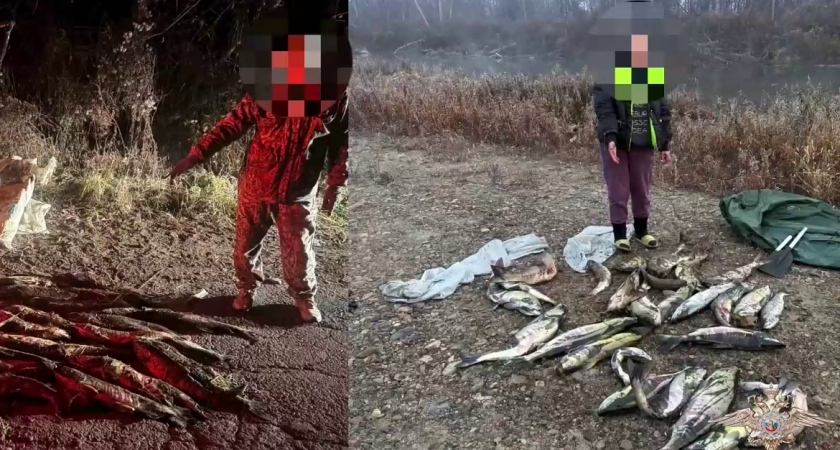 В Приморье изъяли 5 тонн рыбы и 1000 орудий лова: итоги операции «Путина-2025»