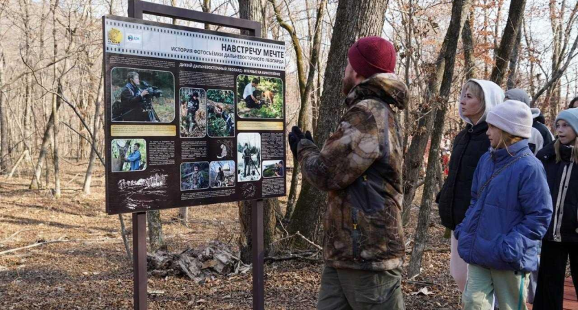 «Навстречу мечте»: в старейшем заповеднике Дальнего Востока открыли тропу с фотоловушками на леопардов