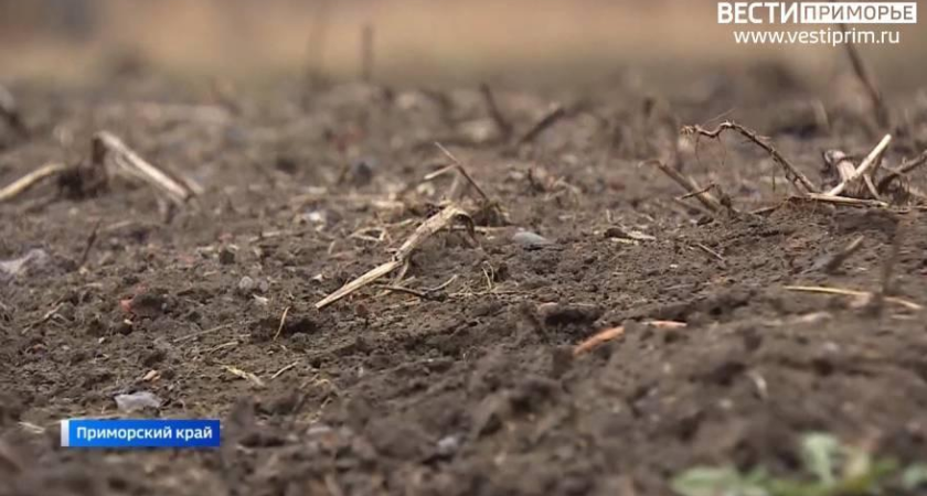 Суд вернул государству 1000 кв.м в порту Посьет, отобранные у предпринимателя