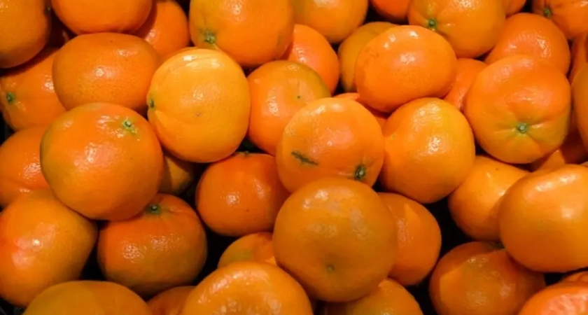 Мандариновый бум: Приморье завезло 22,6 тысячи тонн к Новому году