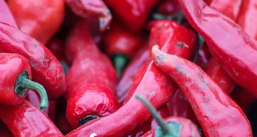 216 кг китайского перца с вирусом томатов сожгли на границе Приморья