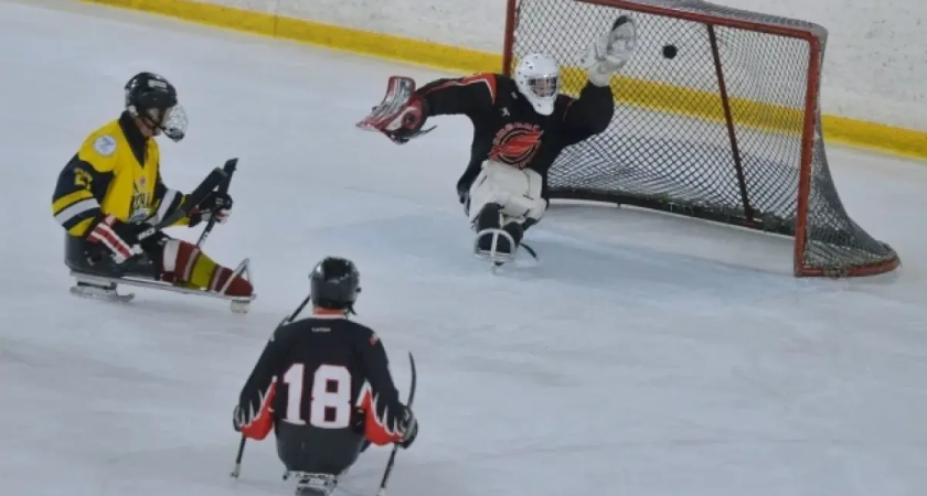 «Трудно впустить войну, ещё труднее выпустить»: 35 мер поддержки и спорт как спасение для бойцов СВО