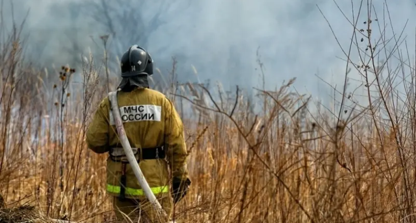 Уссурийск остался в огненной ловушке: пожароопасный сезон длится уже 11 месяцев
