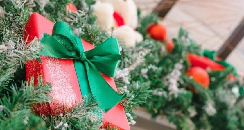 До 28 февраля каждый приморец может исполнить детскую мечту через «Ёлку желаний»