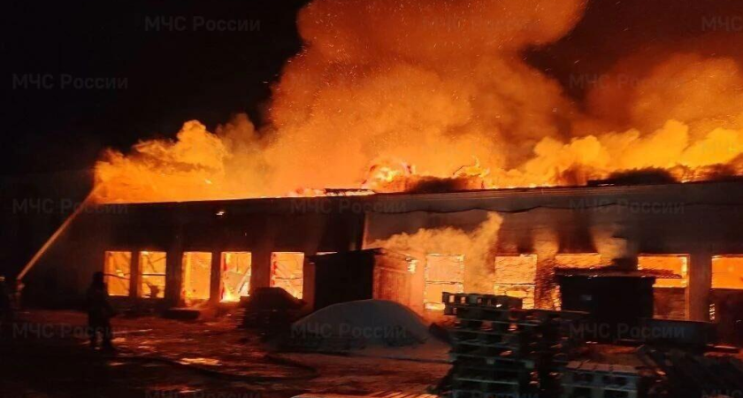 450 квадратных метров в огне: крыша склада в Находке рухнула под натиском пламени