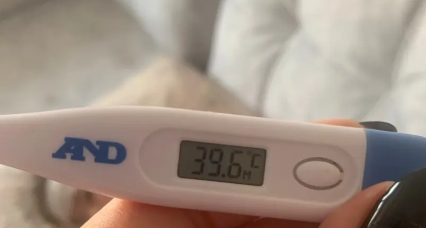 Грипп и ОРВИ растут в Приморье, но массовые мероприятия отменять не будут