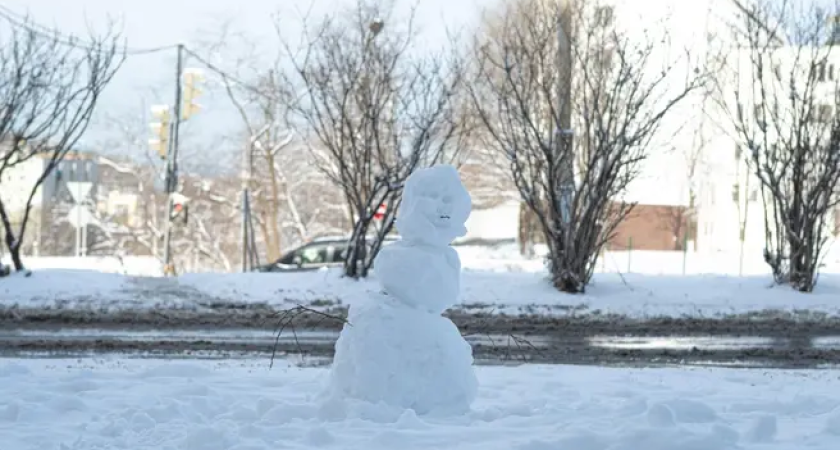 Снег на выходных во Владивостоке не парализует город: прогноз синоптиков