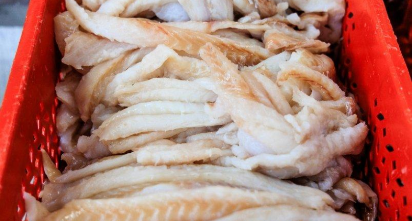 Рыбная отрасль Приморья принесла в бюджет 7,2 млрд рублей при росте оборота на 26%